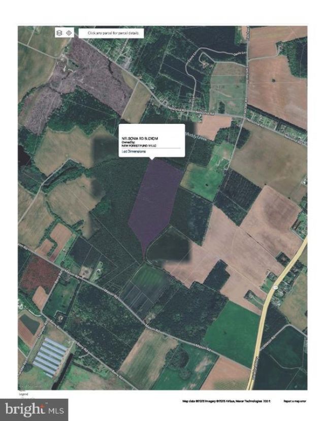 0 Nelsonia Road, Bloxom, VA 23308 Main Photo