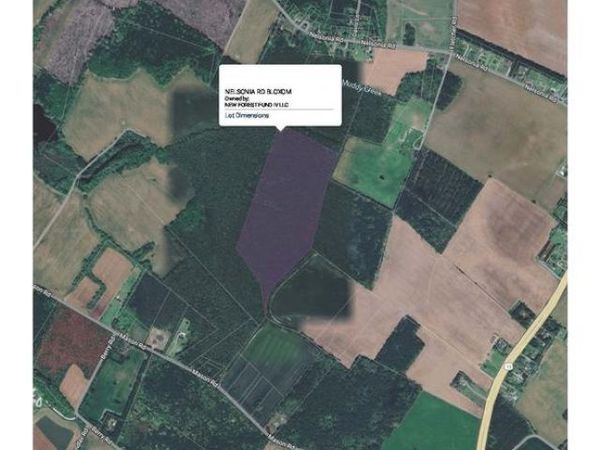 0 NELSONIA ROAD, BLOXOM, VA 23308