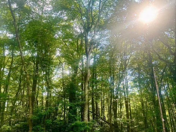 50,51 Presley Creek Drive, HEATHSVILLE, VA 22473
