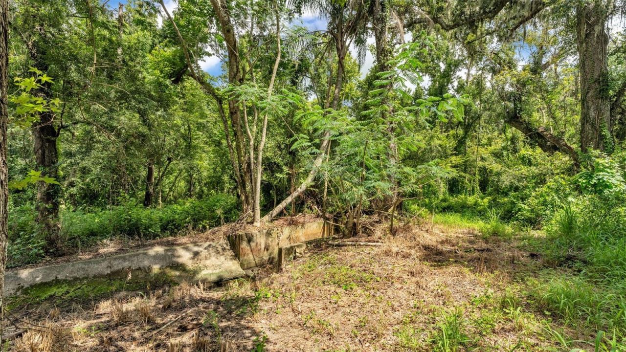 512 Water Oak Court, Fort Meade, FL 33841 Photo