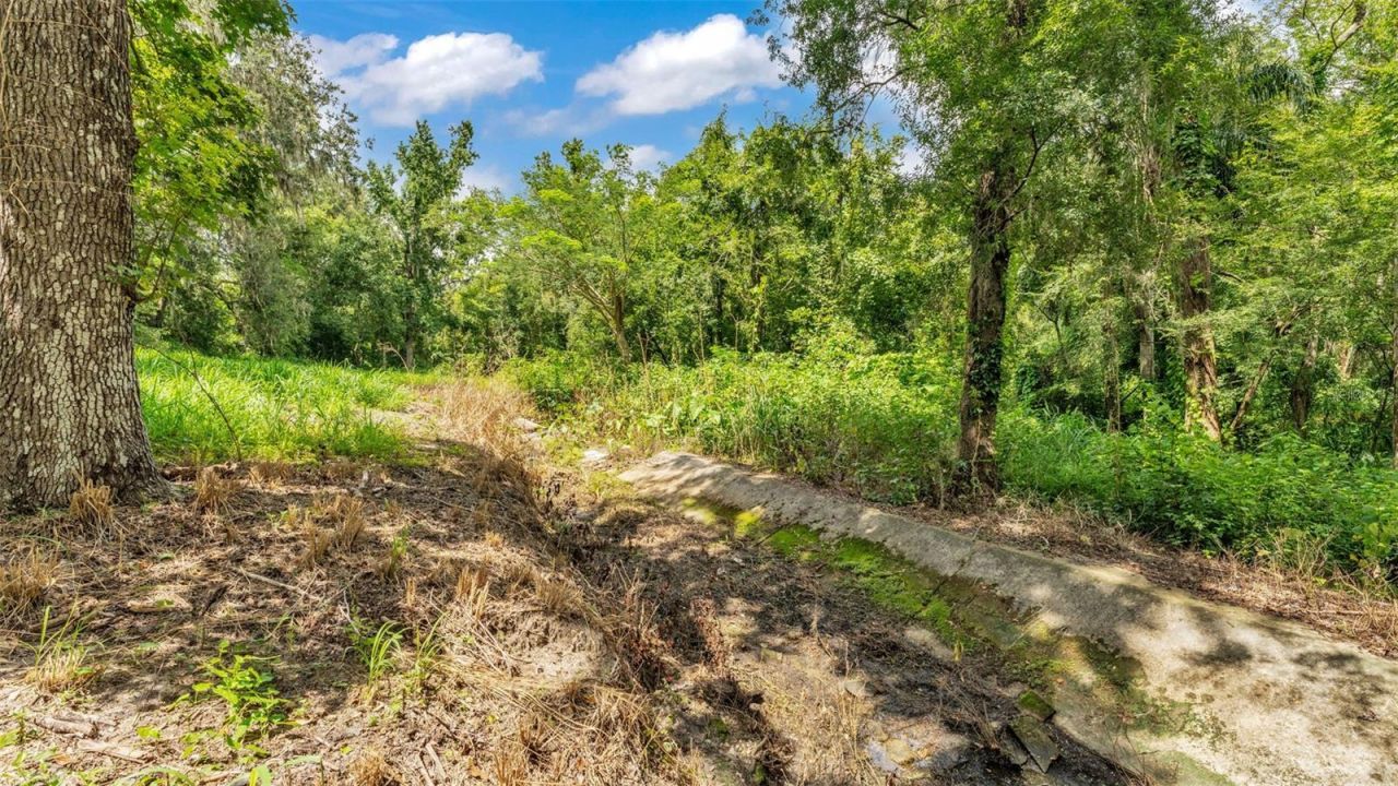 512 Water Oak Court, Fort Meade, FL 33841 Photo