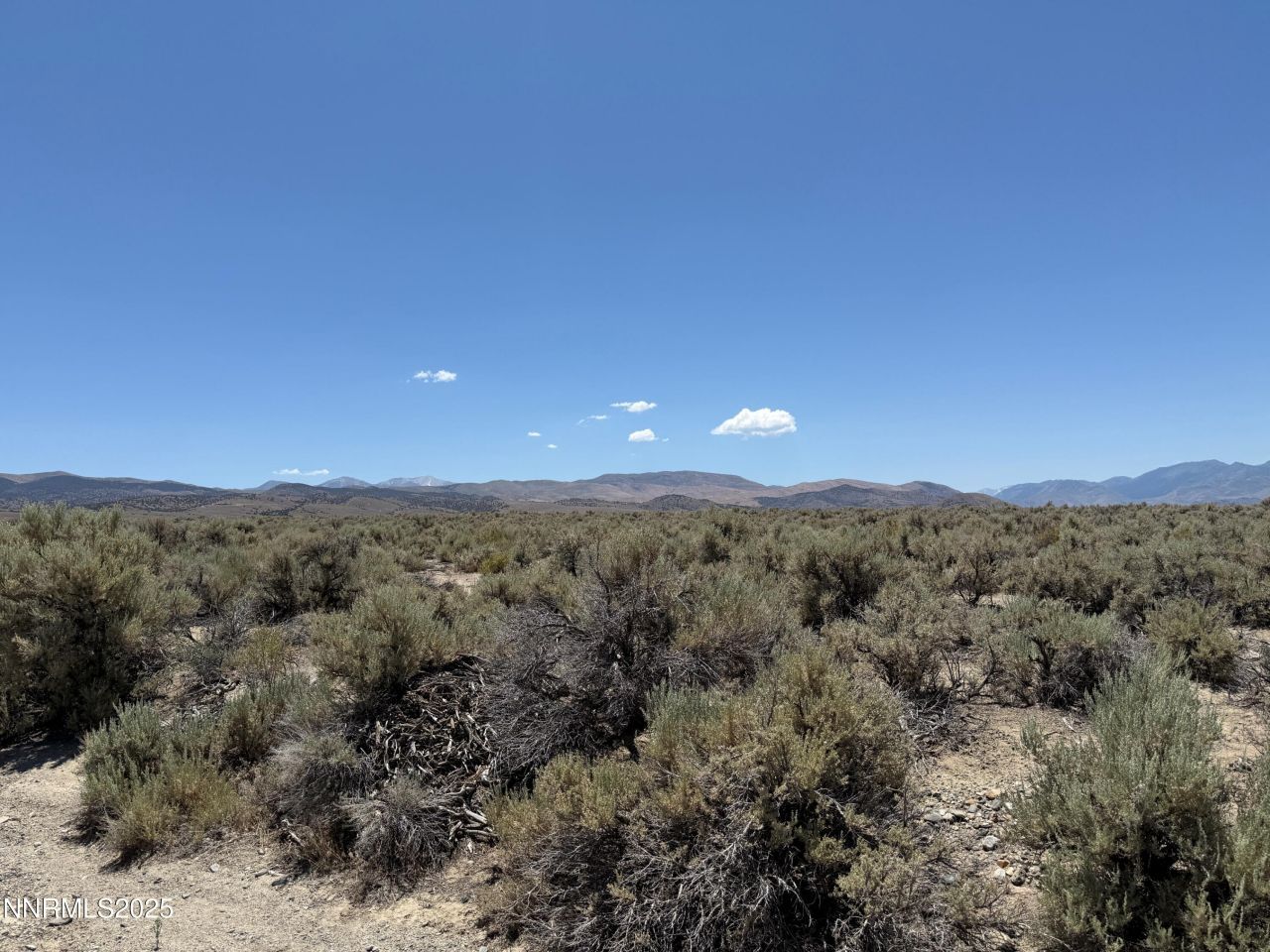Tbd Fenceline Road, Gardnerville, NV 89410 Photo