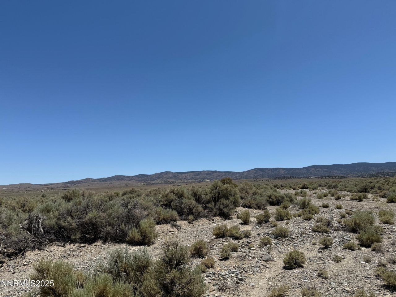 Tbd Fenceline Road, Gardnerville, NV 89410 Photo