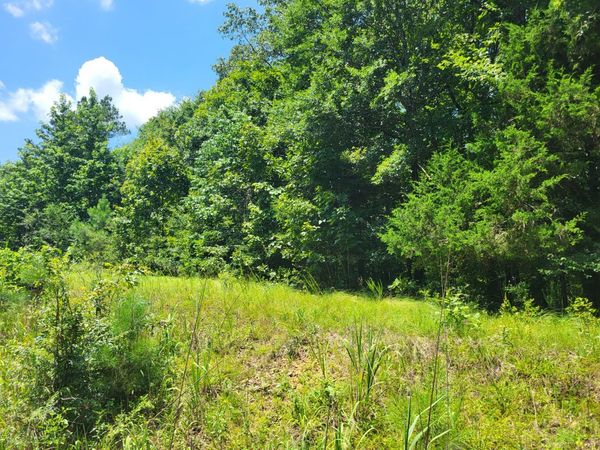 8 Birdsong Rd, Holladay, TN 38341