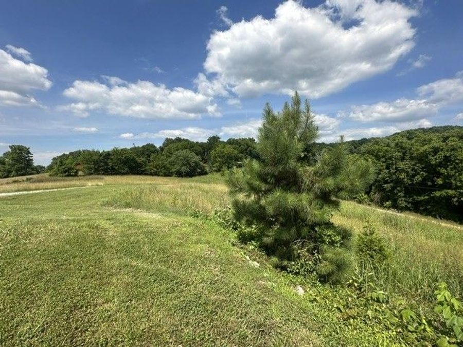 Property Image 47