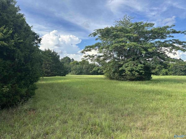 8.9 Acres Hwy 31, Athens, AL 35611