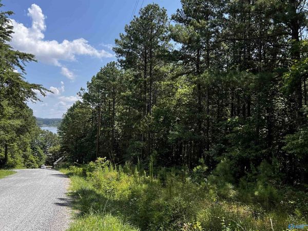 1.71 Acres County Road 592, Leesburg, AL 35983