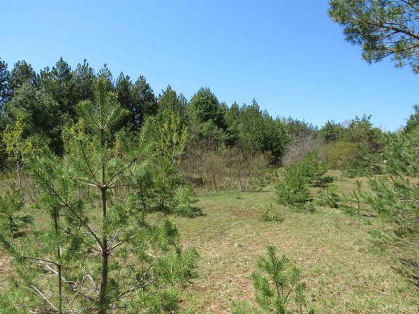 40 Acres Off Snowmobile Trail 133 Trail, Sherman Twp, MI 49950