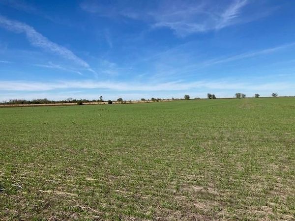 0000 Fm 198, Lake Creek, TX 75450