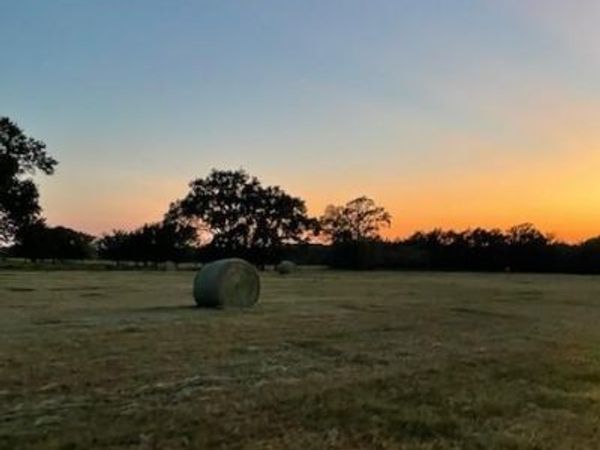 61.32 acres County Road 3417, Emory, TX 75472