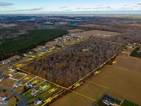 48 acres MORRIS MILL ROAD W, MILLSBORO, DE 19966