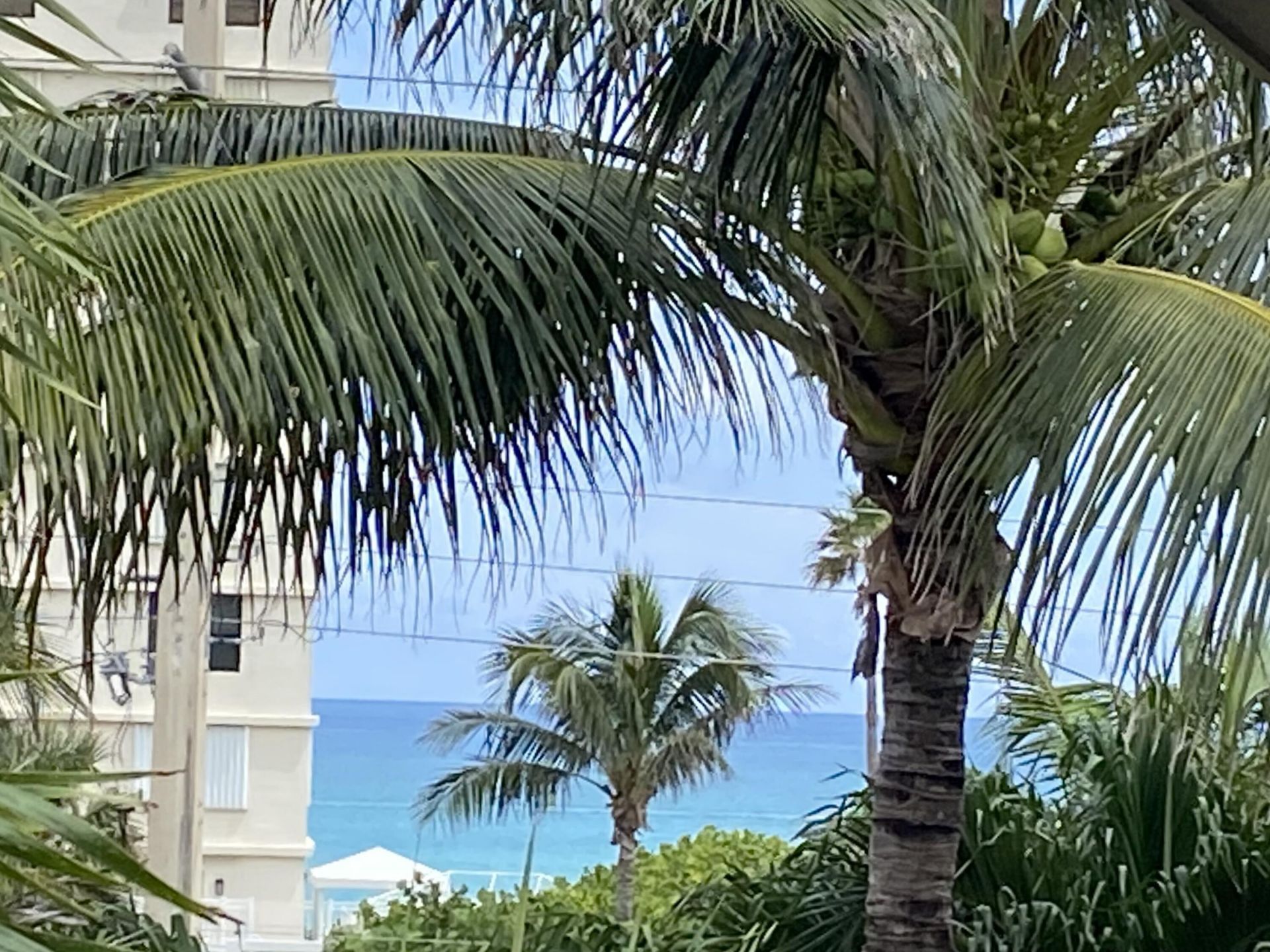 460 Surfside Lane, Juno Beach, FL 33408 Photo