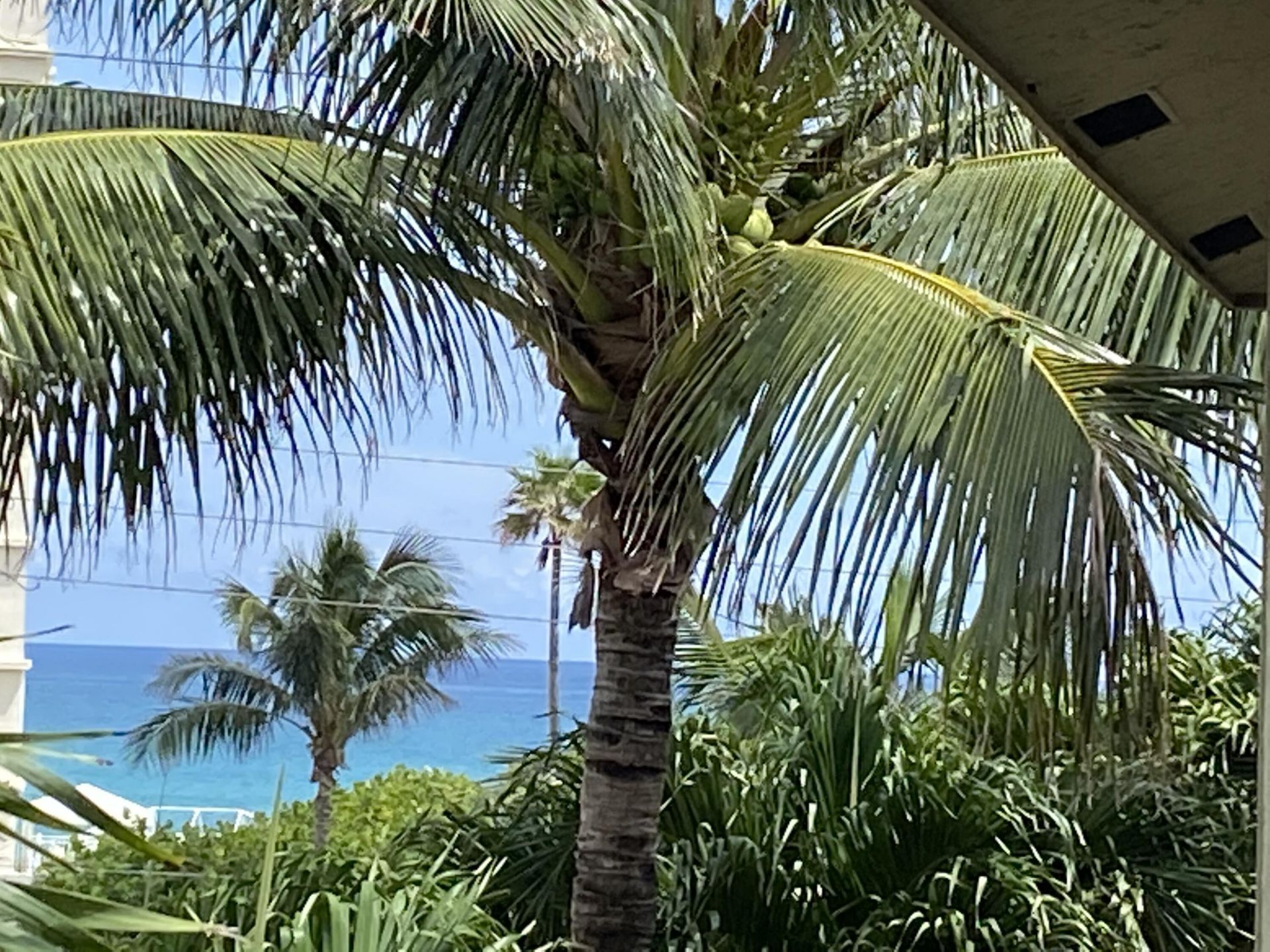 460 Surfside Lane, Juno Beach, FL 33408 Photo