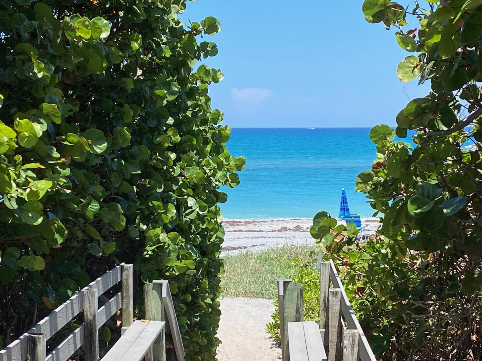 460 Surfside Lane, Juno Beach, FL 33408 Photo