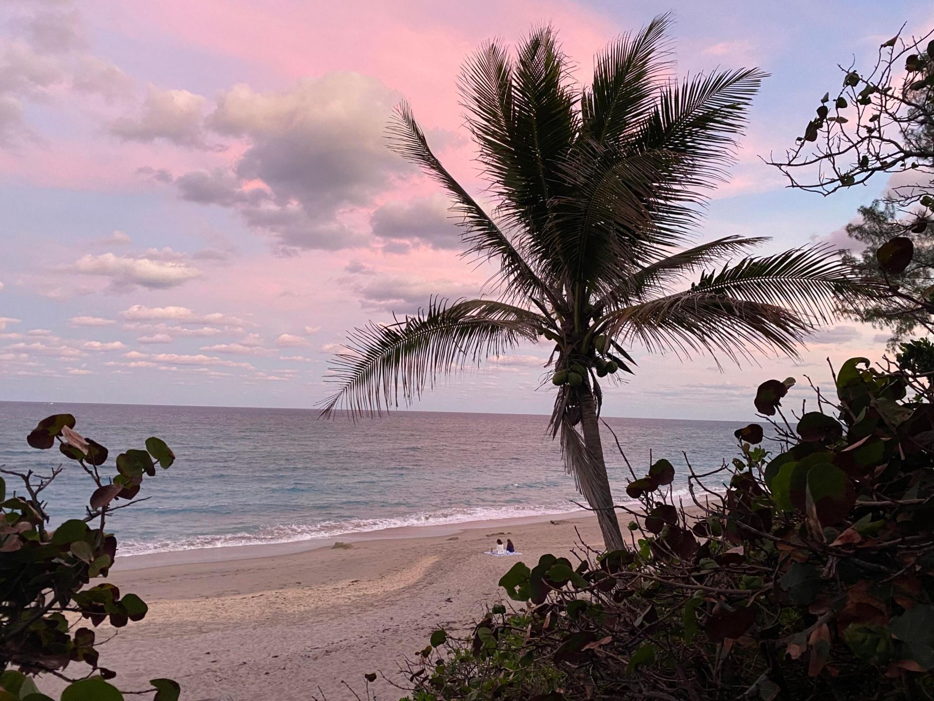 460 Surfside Lane, Juno Beach, FL 33408 Photo