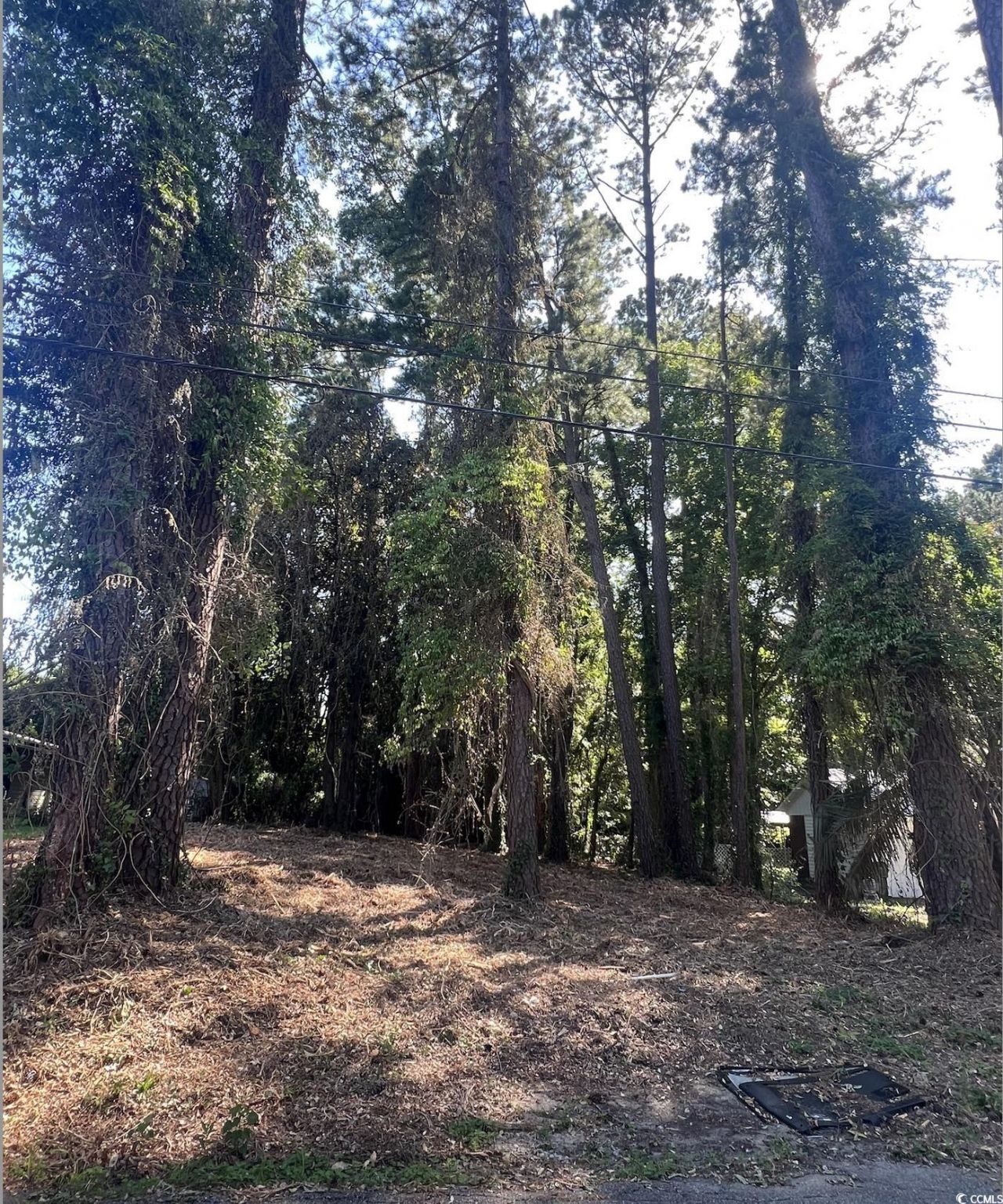 1229 Park Hill Dr. Photo 4