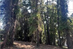 1229 Park Hill Dr. photo 4