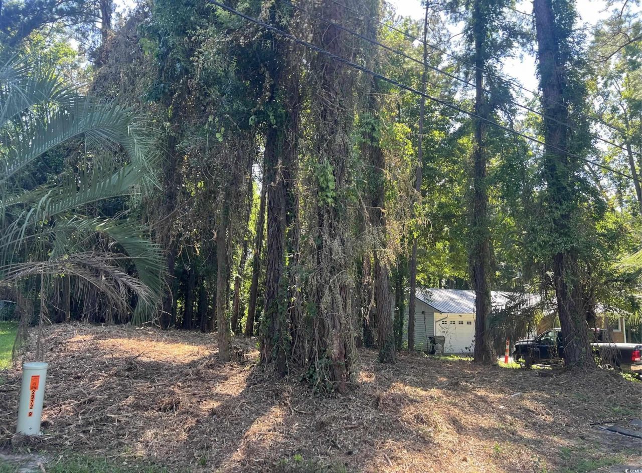 1229 Park Hill Dr. Photo 5