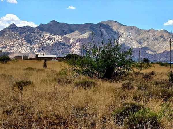 Lot 1 Willcox Road, Unit 1, Pearce, AZ 85625