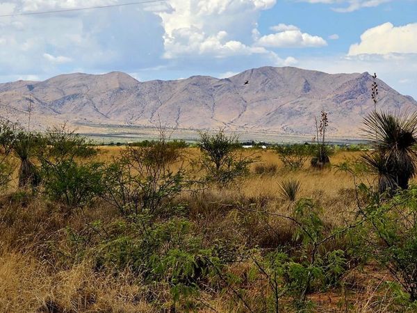 Lot 20 Willcox Road, Unit 20, Pearce, AZ 85625