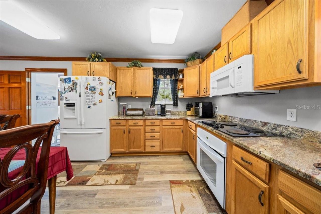 203 NW Hwy 441, Micanopy, FL 32667 Photo