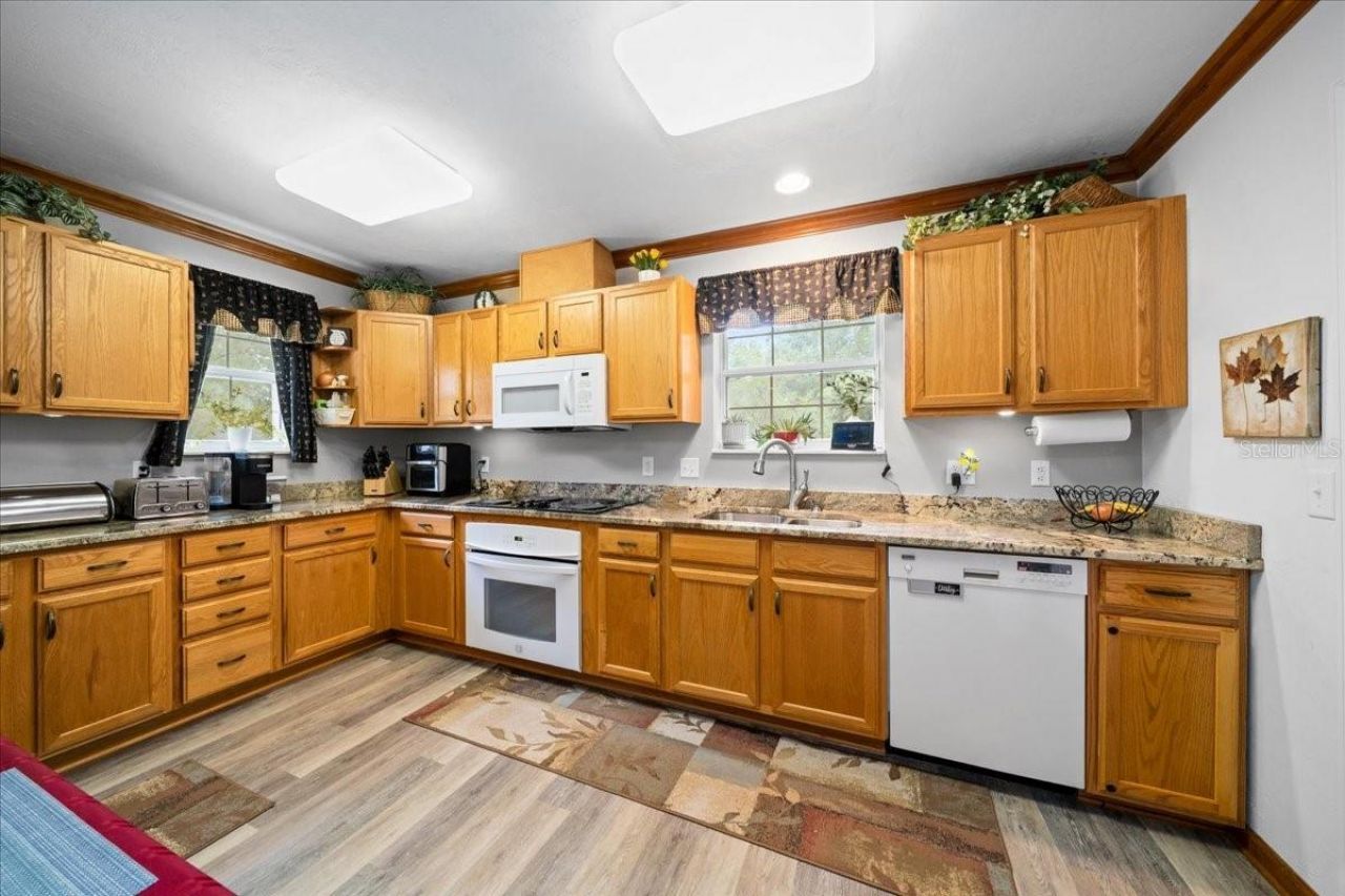 203 NW Hwy 441, Micanopy, FL 32667 Photo