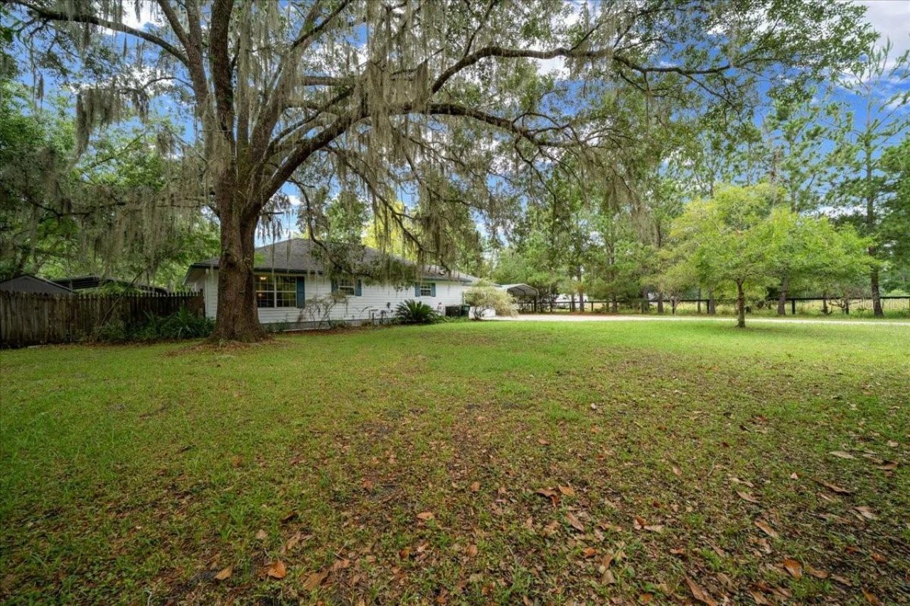 203 NW Hwy 441, Micanopy, FL 32667 Photo