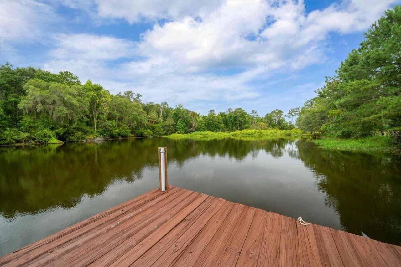 203 NW Hwy 441, Micanopy, FL 32667 Photo