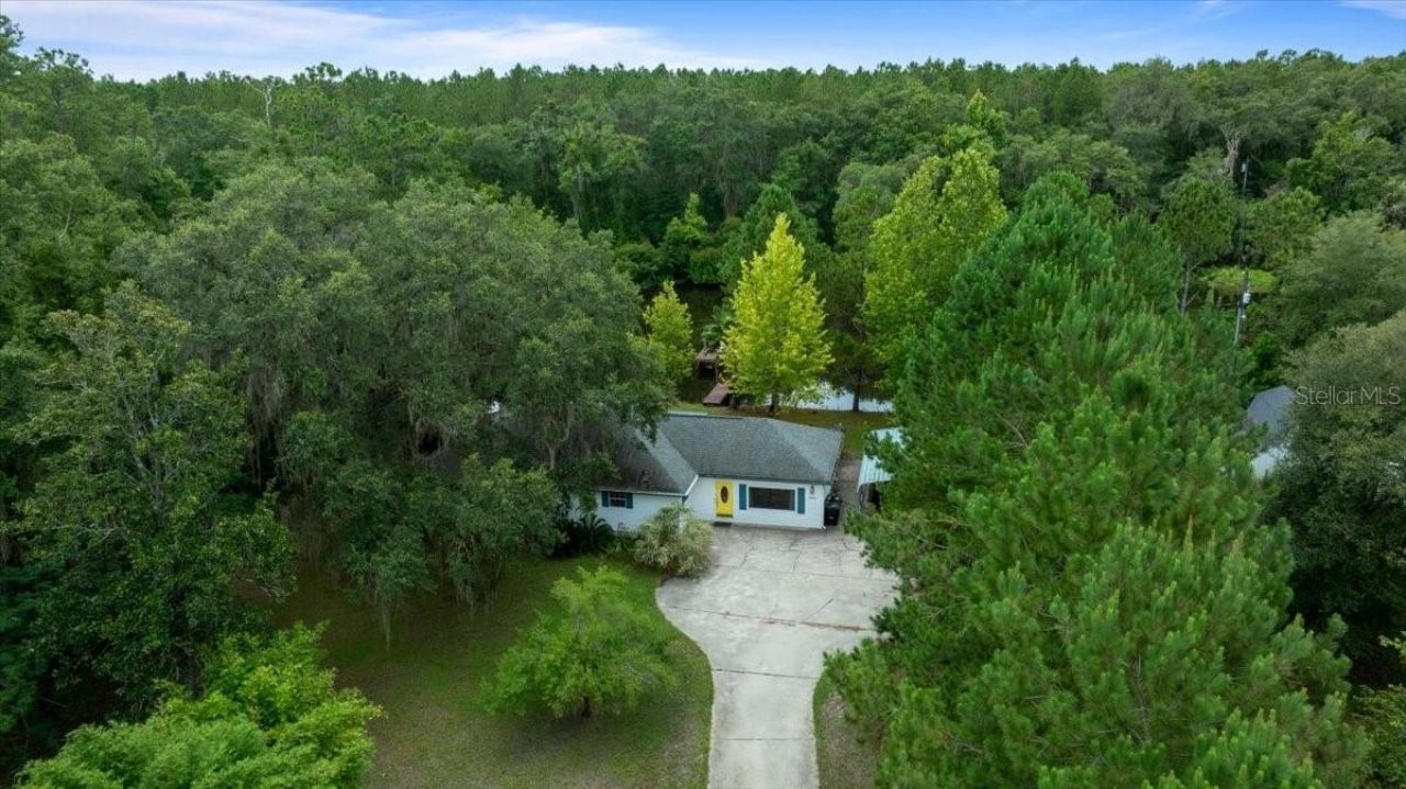 203 NW Hwy 441, Micanopy, FL 32667 Photo