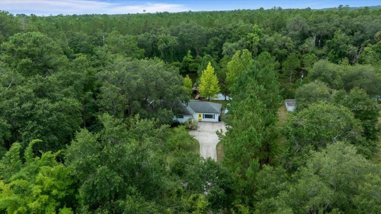 203 NW Hwy 441, Micanopy, FL 32667 Photo