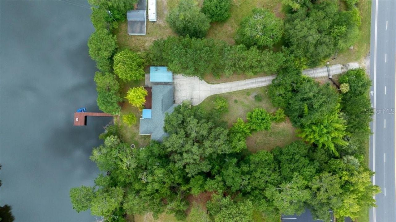 203 NW Hwy 441, Micanopy, FL 32667 Photo