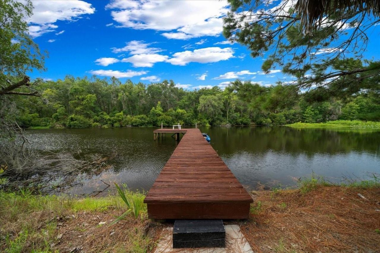 203 NW Hwy 441, Micanopy, FL 32667 Photo