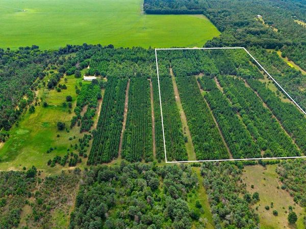 BROWN DEER COURT, Hancock, WI 54943