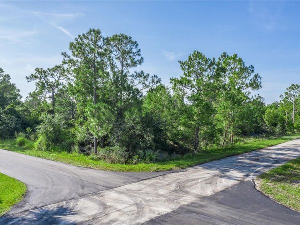 212 AVENGER STREET NW, LAKE PLACID, FL 33852