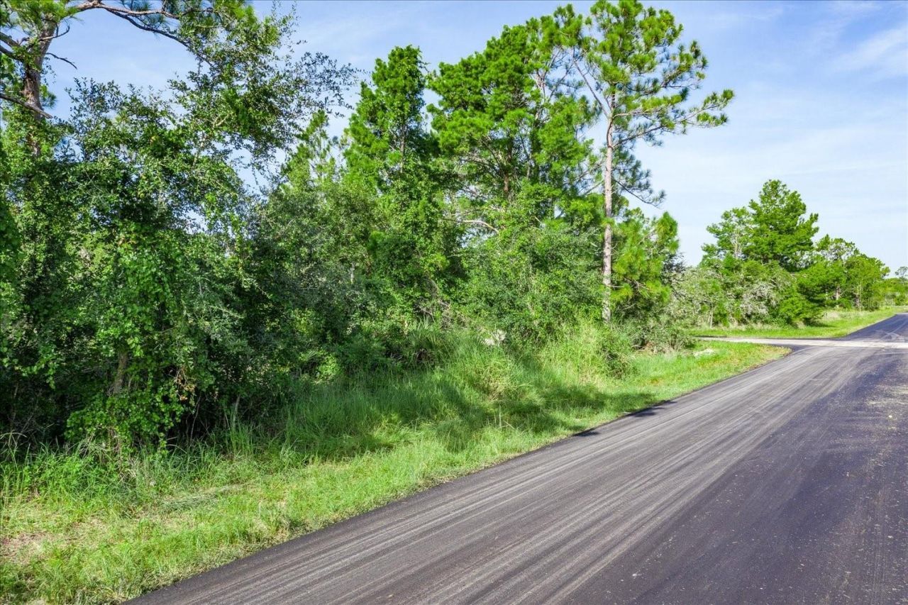 212 Avenger Street Nw, Lake Placid, FL 33852 Photo