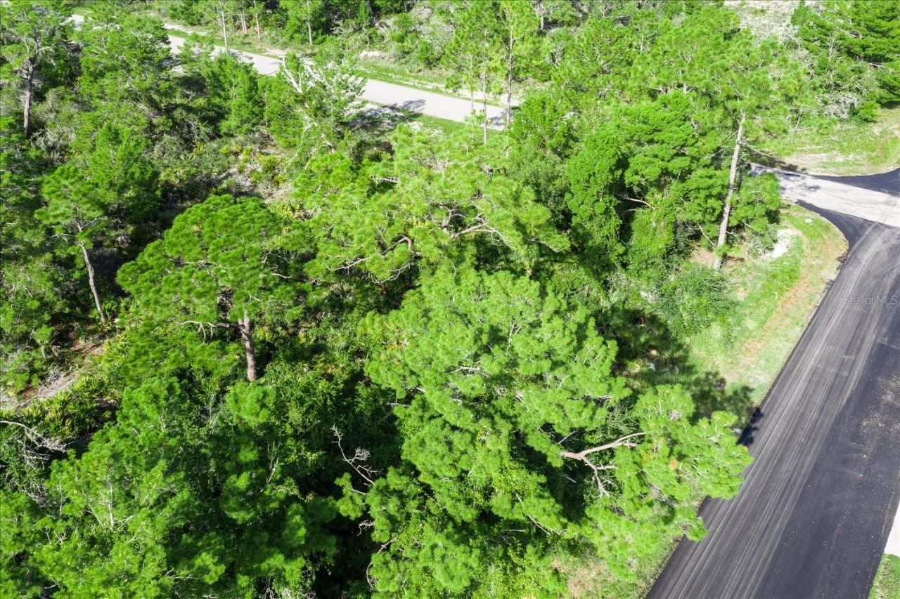 212 Avenger Street Nw, Lake Placid, FL 33852 Photo