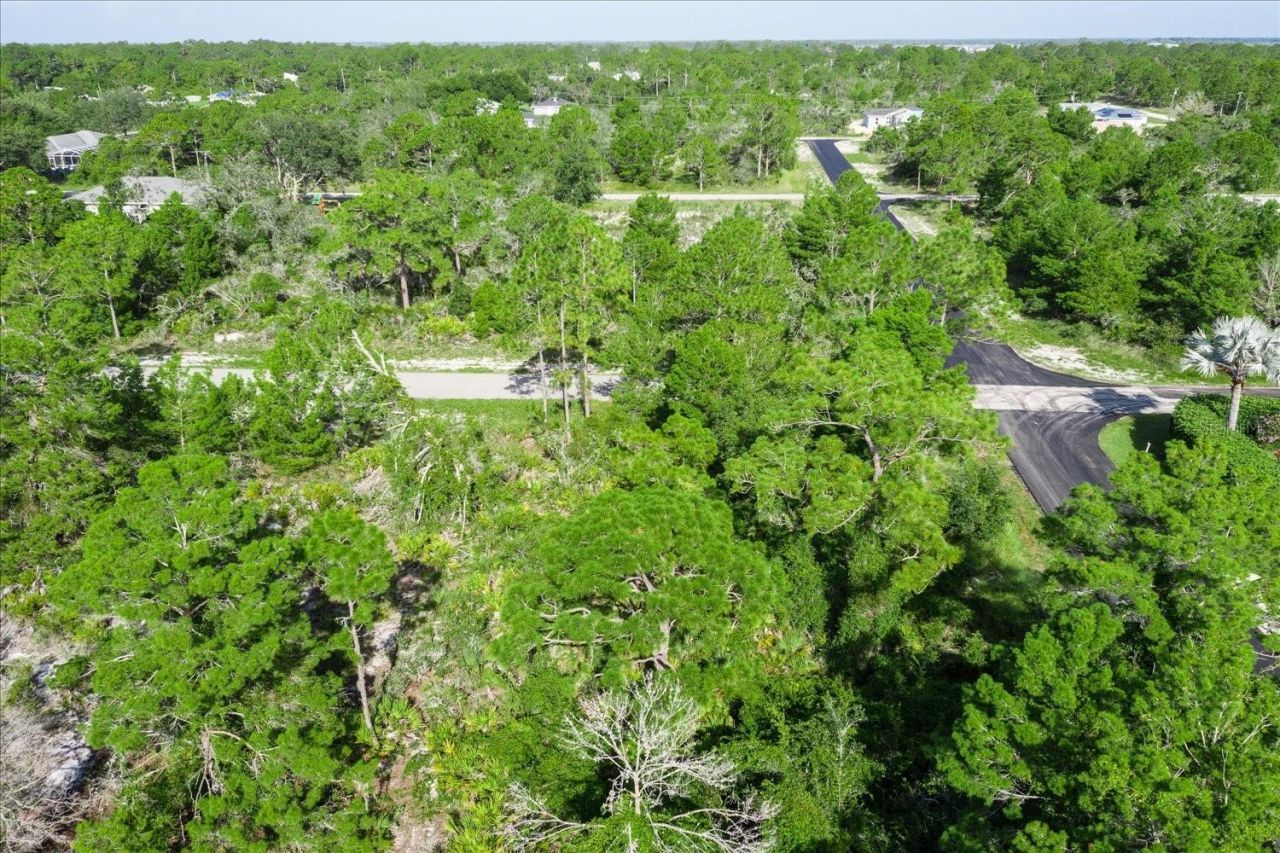 212 Avenger Street Nw, Lake Placid, FL 33852 Photo