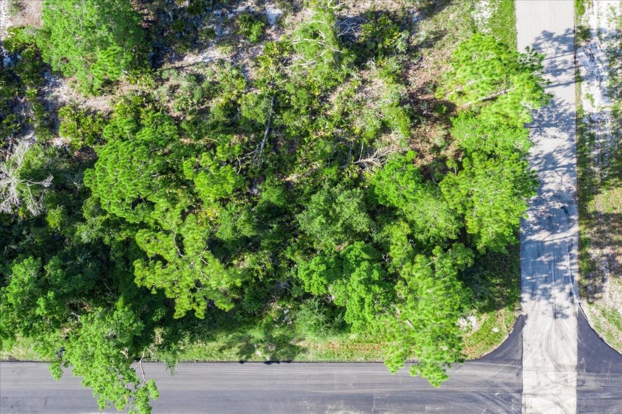 212 Avenger Street Nw, Lake Placid, FL 33852 Photo