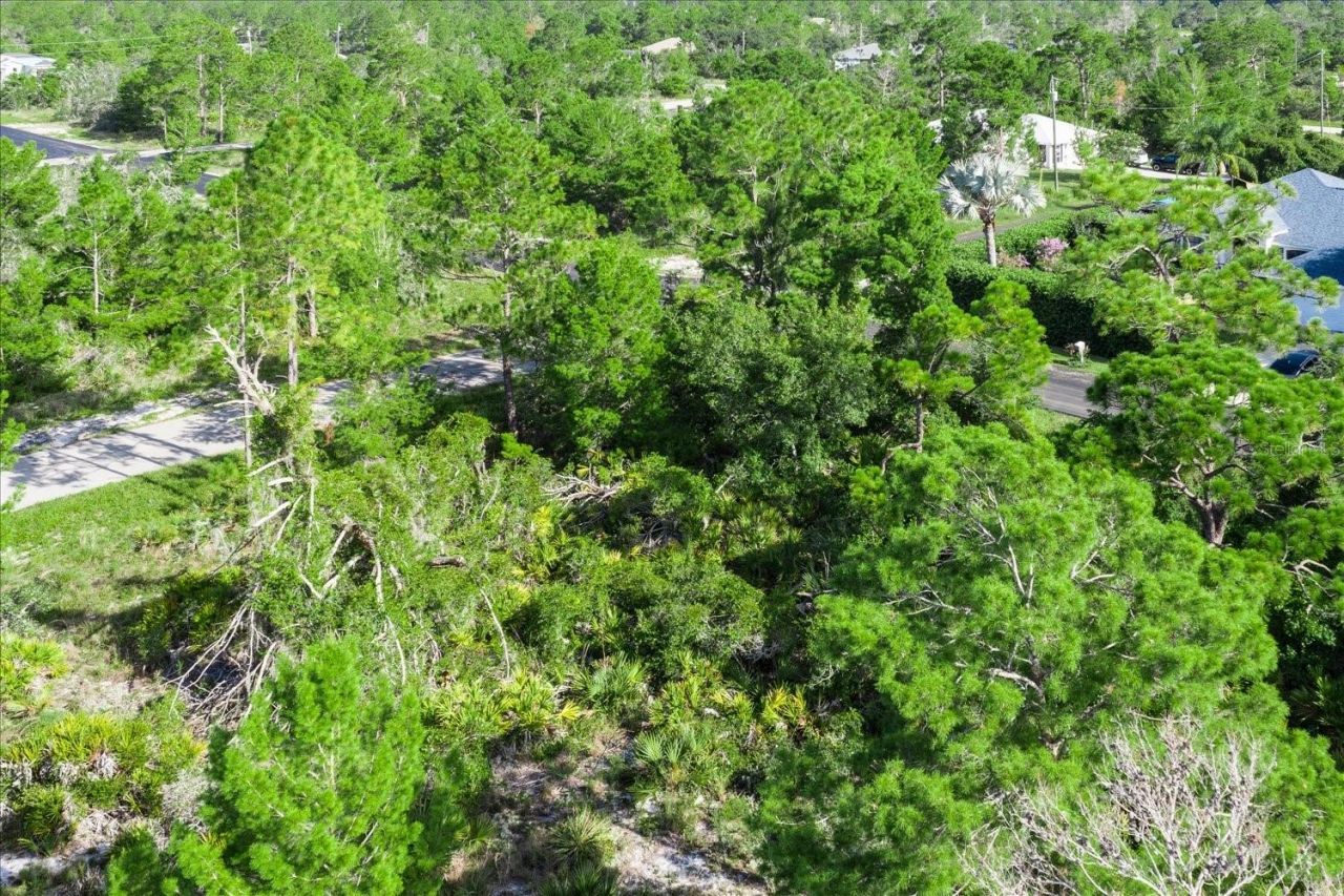 212 Avenger Street Nw, Lake Placid, FL 33852 Photo