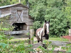 781 Clydeville Lane Photo 1