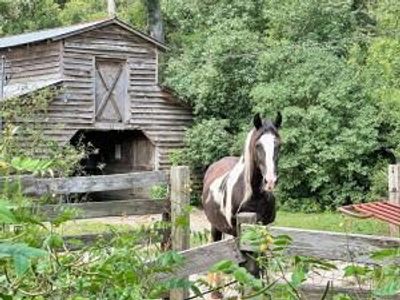 781 Clydeville Lane, Cottageville, SC 29435