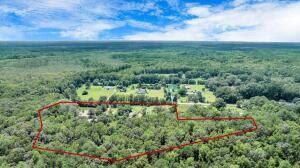 781 Clydeville Lane Photo 10