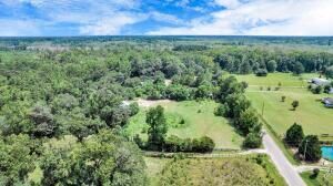 781 Clydeville Lane Photo 11