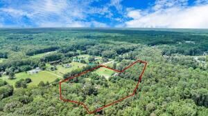 781 Clydeville Lane Photo 14