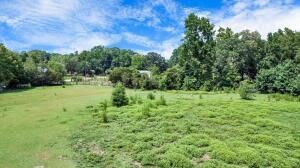 781 Clydeville Lane Photo 18