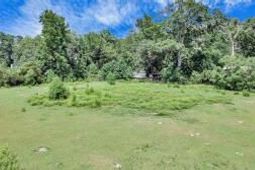 781 Clydeville Lane photo 4