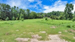 781 Clydeville Lane Photo 20