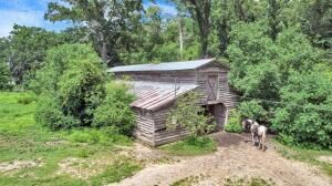 781 Clydeville Lane Photo 22