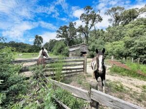 781 Clydeville Lane Photo 3