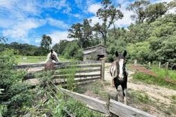 781 Clydeville Lane photo 4